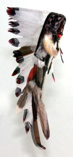 Indian, Feather Headdress - Click Image to Close