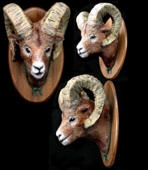 Big Horned Sheep - Click Image to Close