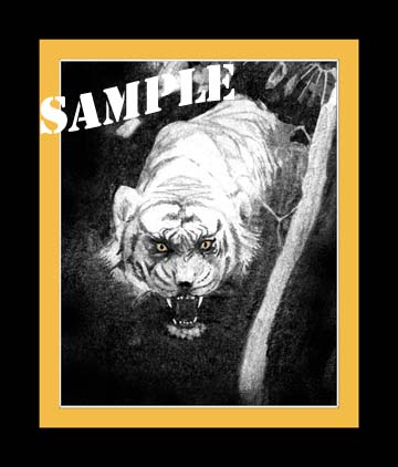 Large Tiger Drawing - Click Image to Close
