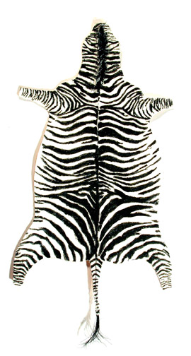 Zebra Rug - Click Image to Close